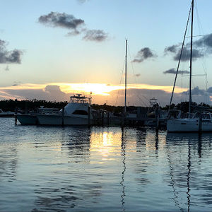 Meet your Posher, Gabriela sofia